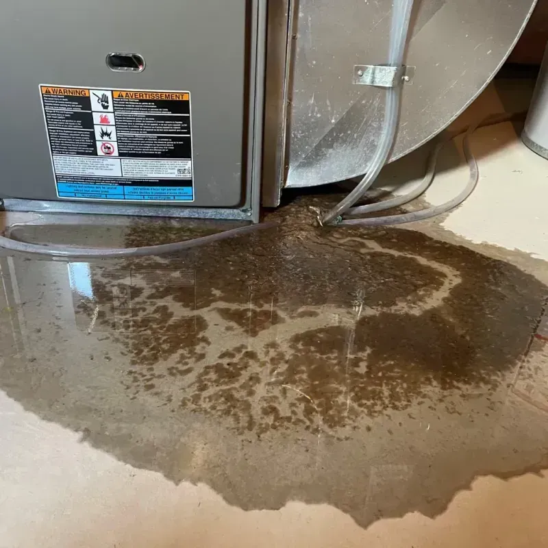 Appliance Leak Cleanup in Storm Lake, IA